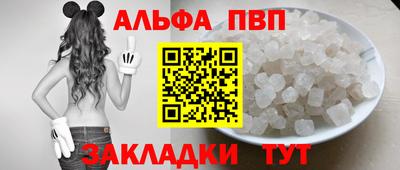 гидра Будённовск