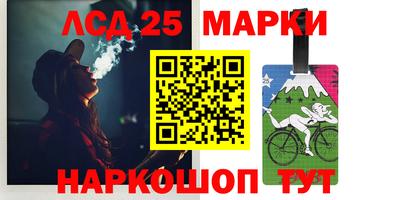 гидра Будённовск