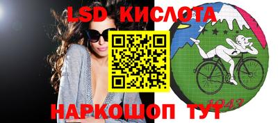 гидра Будённовск