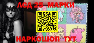 гидра Будённовск