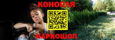 гидра Будённовск