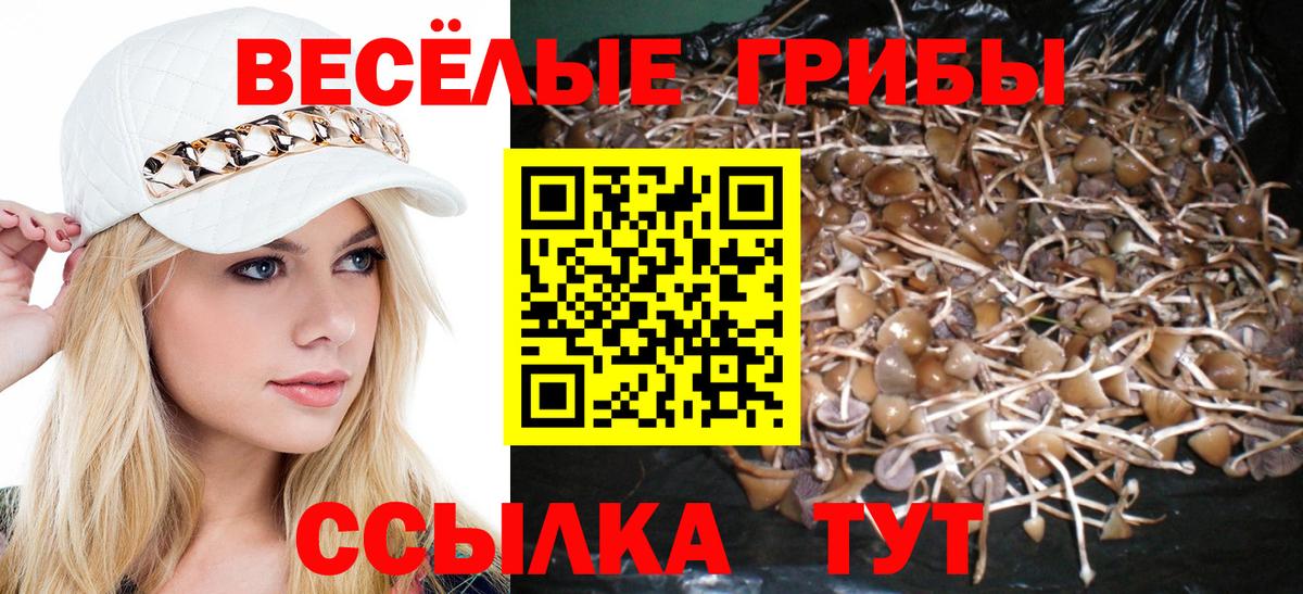 Псилоцибиновые грибы ЛСД Скопин