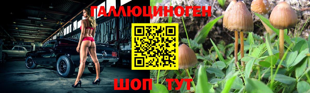 где найти наркотики  Вход с VPN  Скопин  Галлюциногенные грибы Cubensis 